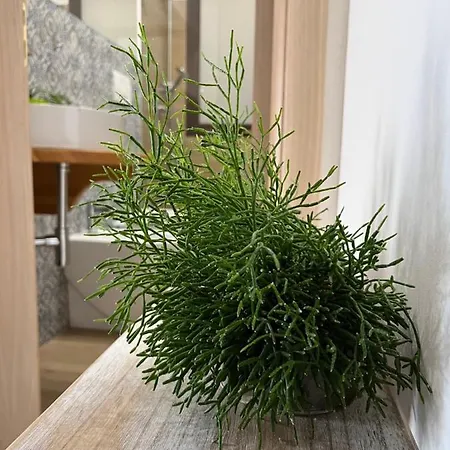 Brin Le Di Saretta Hébergement de vacances